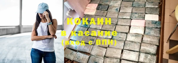 гашик Вяземский