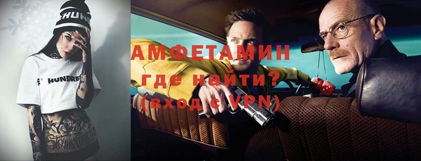 гашик Вяземский