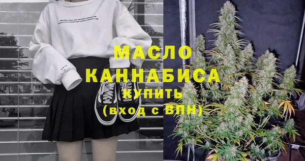 гашик Вяземский