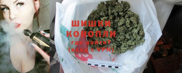 гашик Вяземский