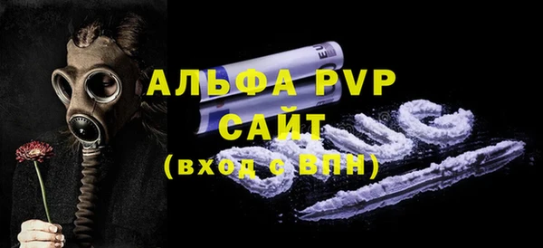 гашик Вяземский