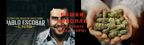 мяу мяу мука Вязьма