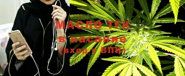 гашик Вяземский