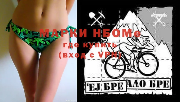 гашик Вяземский