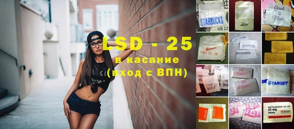 гашик Вяземский