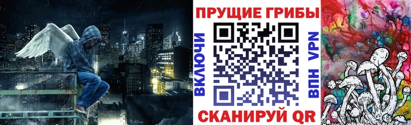 Галлюциногенные грибы Psilocybe  Купить где  Свирск 